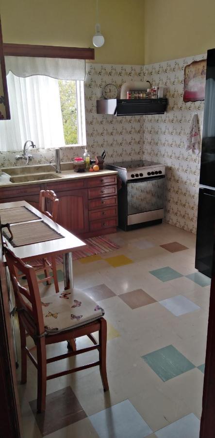 アテネΟμορφο Διαμερισμα Με Μεγαλες Βεραντεςアパートメント エクステリア 写真